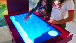Capbreton mop table tactile