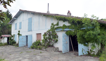 Katalinkoenea