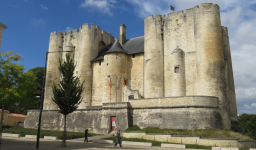 Muse e du donjon niort 1