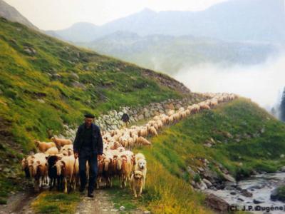 Agence AVEC - Vallée d'Ossau