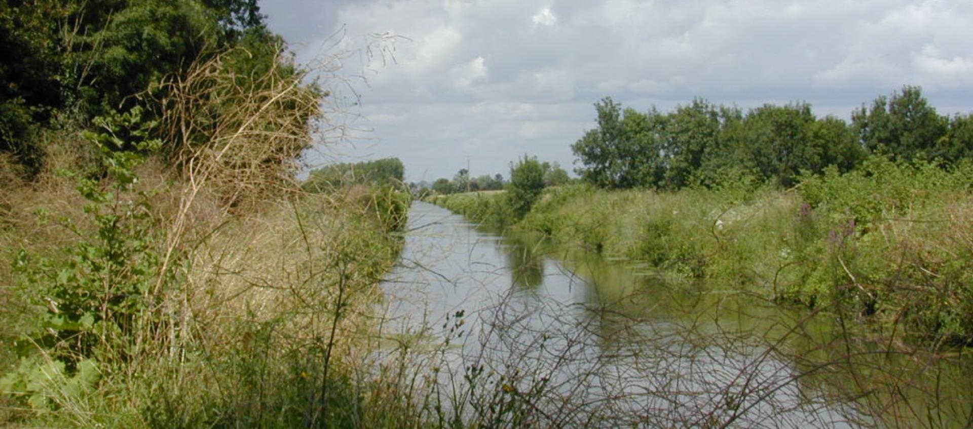 St sauveur d aunis marais poitevin