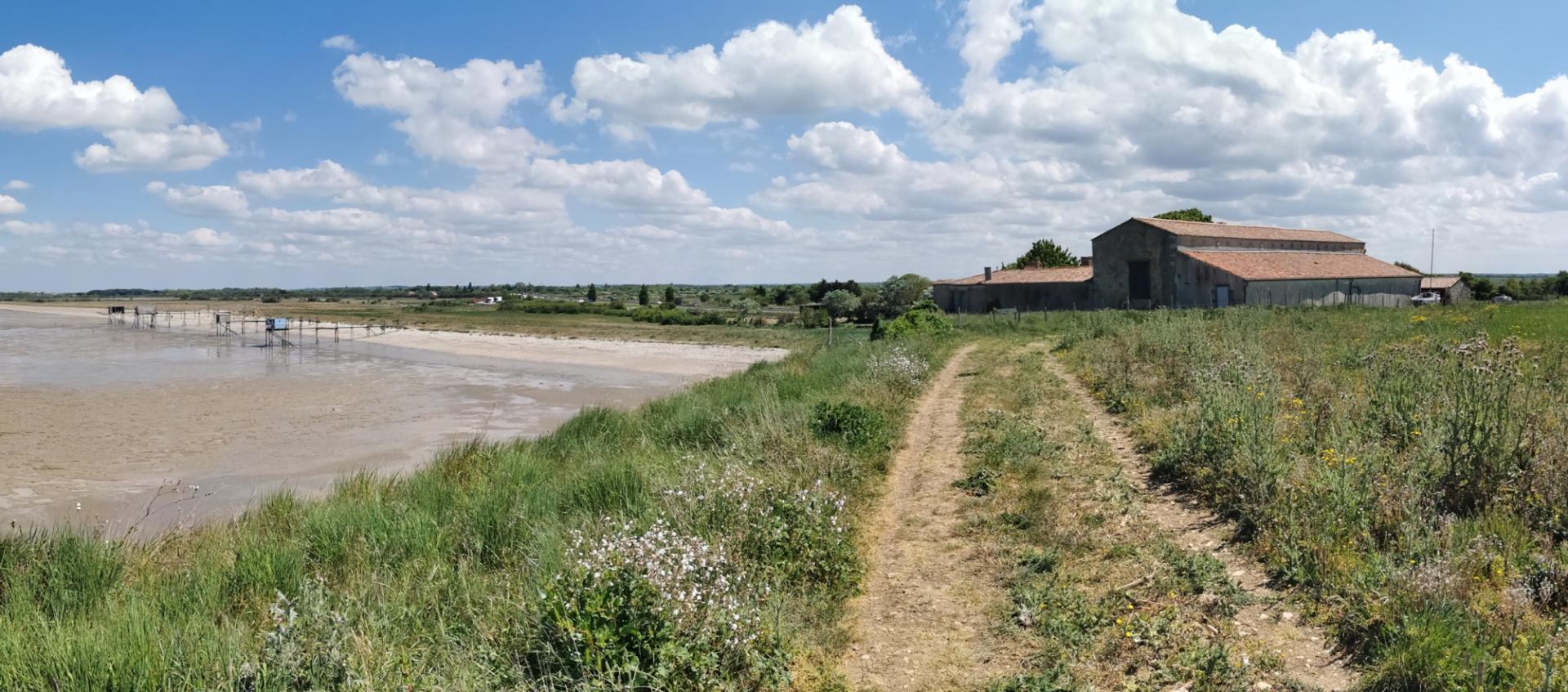 Valorisation du caractère patrimonial et paysager de la ferme du Rocher et de ses abords dans le marais d'Yves (17)